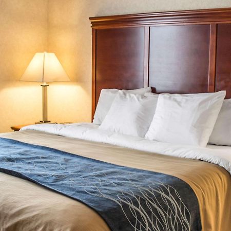 Comfort Inn & Suites Kent - University Area מראה חיצוני תמונה